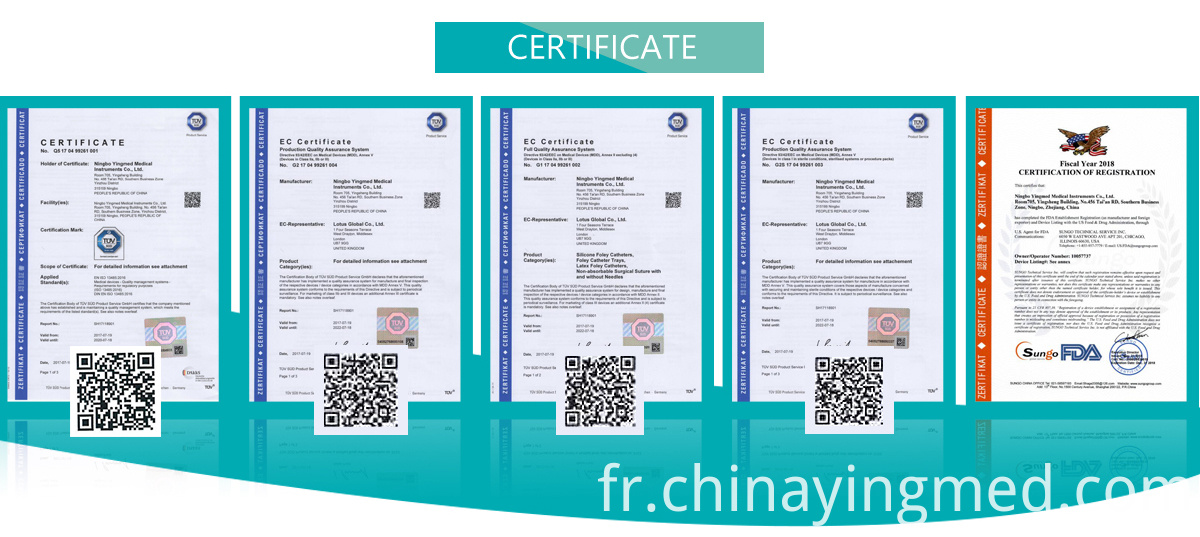 Ce Iso Fda Ce Iso Fda